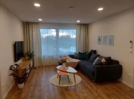 Navi Apartment