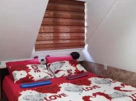 Apartment HOLIDAY LAKE - PIVA 2022