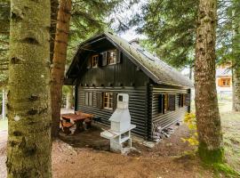 Chalet Liza & Rozi，Zgornja LožnicaČrno Jezero附近的飯店