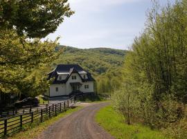 Flow House, vacation home in Satu Mare