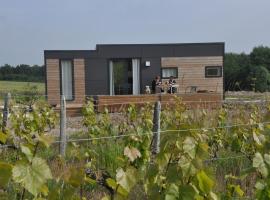 Les Cottages des Pierres d'Aurèle, holiday home in Saint-Georges-sur-Cher