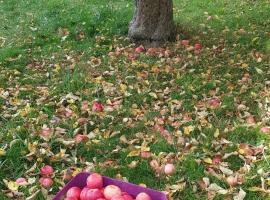 Sch&ouml;neWohnung mit eigenem Gsrten und Eingang