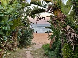 Gracelands Beach Lodge