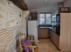 Charmante maison près des châteaux de la Loire avec jardin fermé et animaux bienvenus - FR-1-590-65