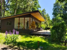 Cabañas Nordic lodge, hotel i Chillán