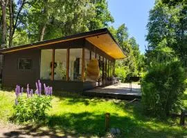 Cabañas Nordic lodge