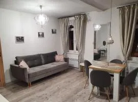 Apartament Kominkowy przy Parku