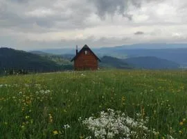 Zlatarski raj
