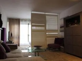 C056-Cannes Rue Antibes - Studio