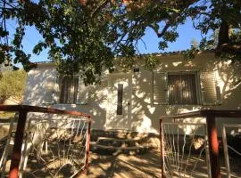 Seaside holiday house Cove Rogacic, Vis - 8887