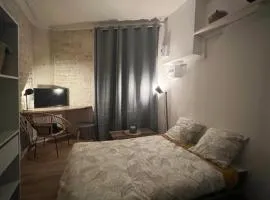 Le Bjorn - T1 chaleureux refait à neuf - Centre