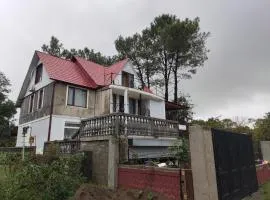 Valdi Guest Shekvetili