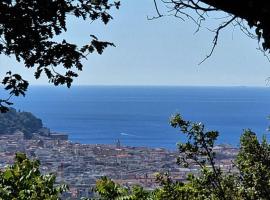 Vacance nice magnifique vue mer panoramique, appartement à Nice