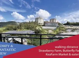 Hotel Studio Apartment- Fantastic Mountain View (4pax)