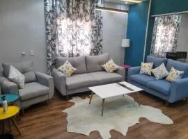 Elite apartment in Mohandessin