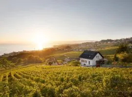 #Lavaux
