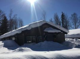 StugaN&auml;raKungsberget - mysig stuga med kamin, grillk&aring;ta och vedbastu, tradicionalna kućica u gradu 'Ockelbo'