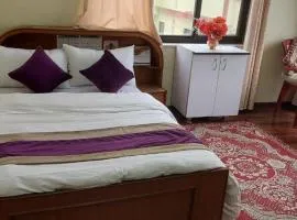 Kathmandu Airport View Hotel And Lodge、カトマンズのバケーションレンタル