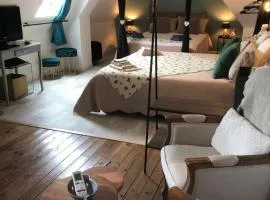 Chambre studio familiale la Brandonnière
