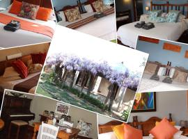 Top House Bed and Breakfast, hotel v destinácii Ladybrand