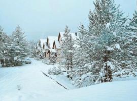 Vila Snjeguljica Blidinje 200 m od ski staze, villa in Risovac