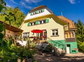 Jägerhaus Donaueschingen, smeštaj u okviru domaćinstva u gradu Donauešingen