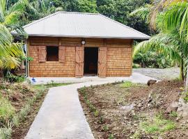 Maison Le Bois Joli Coeur, ξενοδοχείο σε Saint-Benoît