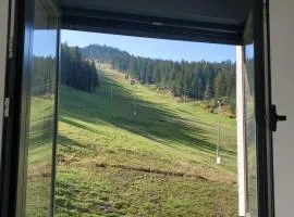 Apartman Green - Ravna planina