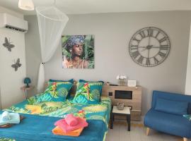 Studio papillon manganao