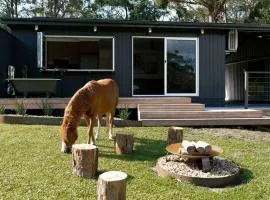 Farm & Sea Studio