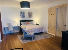 Luxury Studio in Dunedin Central, apartment in Dunedin