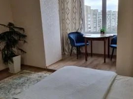 Luxury apartment in the city center