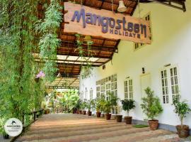 mangosteen holidays, guest house in Vythiri