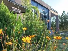 Cabañas Mina Clavero La Amelia