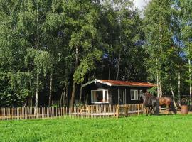 Het Zwarte Paard, vacation rental in Gameren