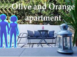 Olive and Orange Apartment, φθηνό ξενοδοχείο στον Μυστρά