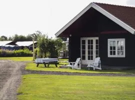 Chalet in Friesland near Alde Feanen