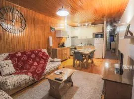 Appartement au pied des pistes