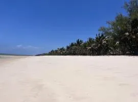 Tiwi Tatu