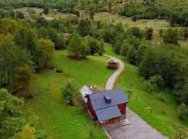 Cabana Codrii Maramuresului