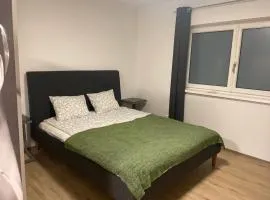 Ruhiges Appartement im Grünen