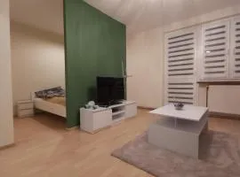 Mieszkanie nad Sanem