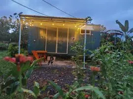 The Chocolate Lodge