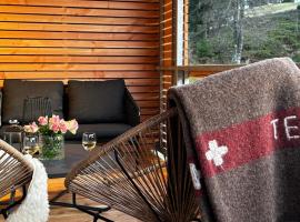 Apartment Luise - direkt an der Skipiste - mit Sauna, Übernachtungsmöglichkeit in Feldberg (Schwarzwald)