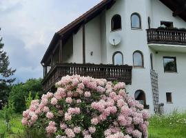 Haus Am Waldesrand, apartment in Fichtelberg