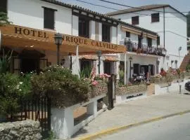 Hotel Enrique Calvillo
