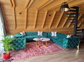 Batllava Premium Resort Villa 7, ξενοδοχείο σε Orllan