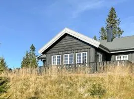 Awesome Home In Sjusjen With Sauna, Wifi And 5 Bedrooms