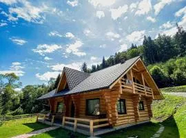 Wild tree house
