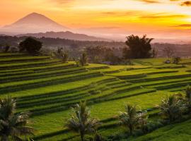 Kubu Pinge, hotel di Angsri